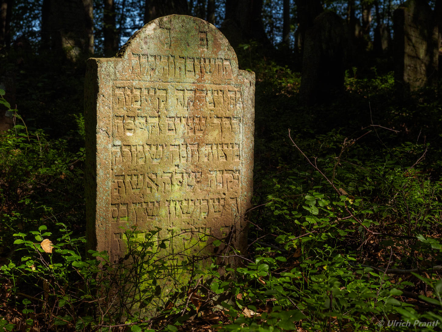 Jüdischer Friedhof Altengronau